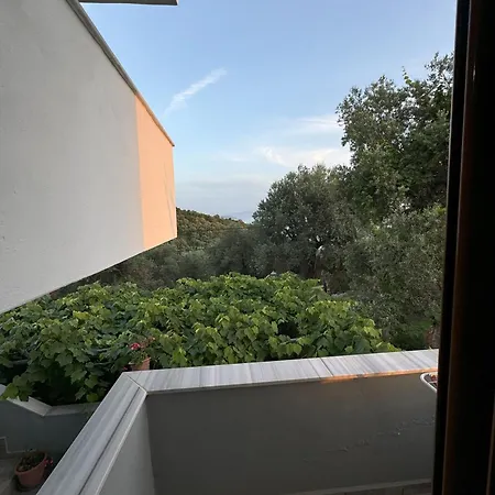 Adrian Agustin Hotel