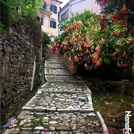 Hotel Adrian Agustin