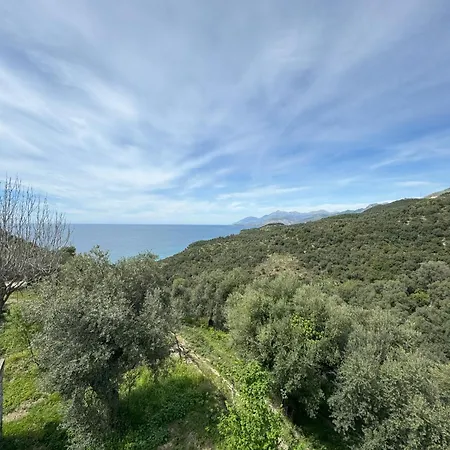 Adrian Agustin Hotel