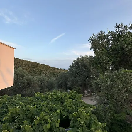 Adrian Agustin * Lukovë