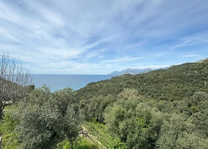 Adrian Agustin Hotel