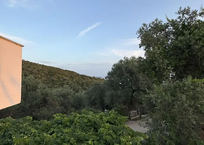 Adrian Agustin * Lukovë