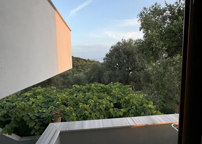 Adrian Agustin Hotel